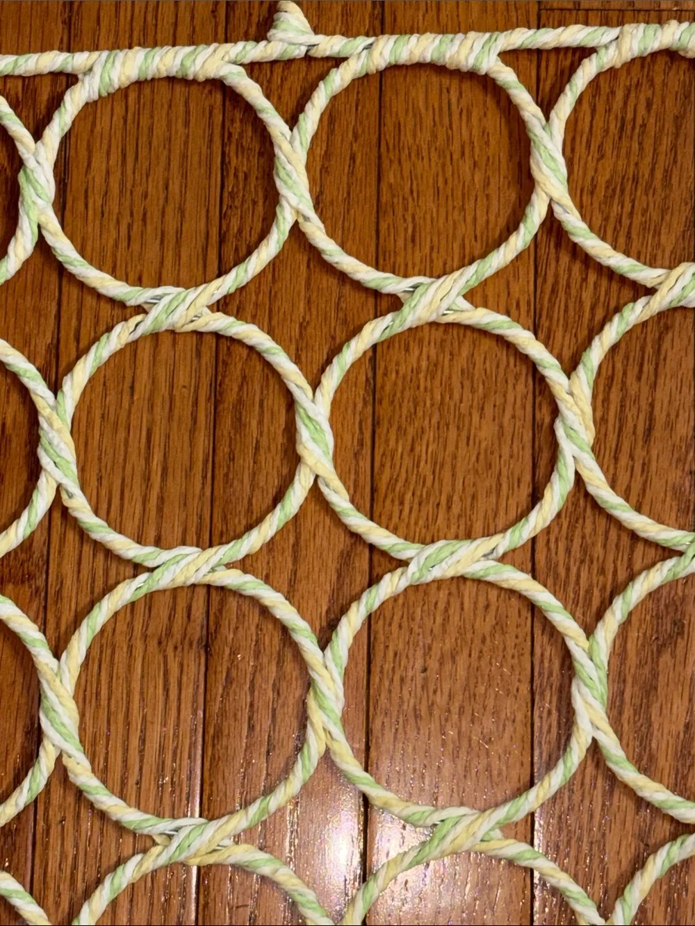 Hanging 28-Ring Accessory Organizer in Pale Green